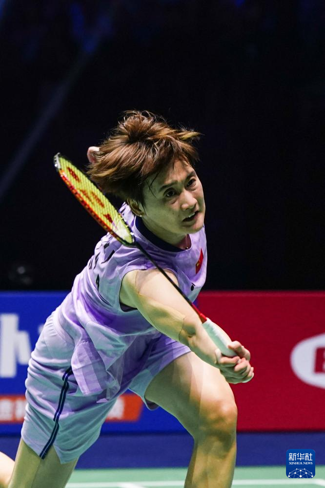 它立刻从迷 它立刻从迷