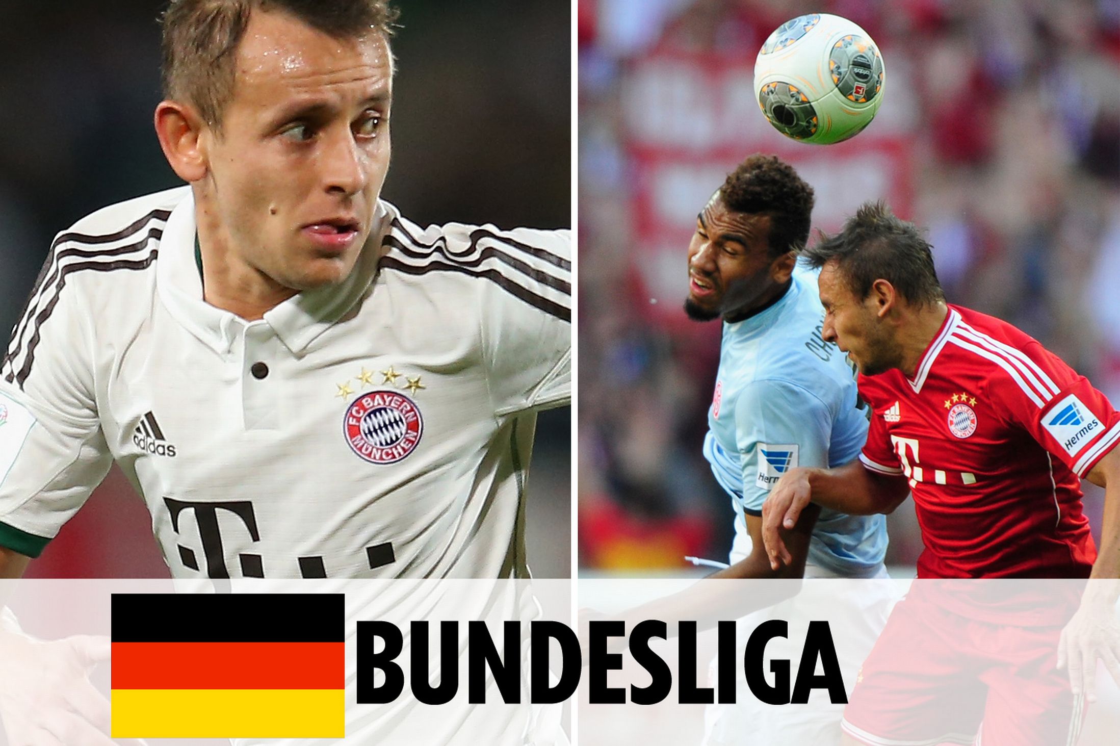 数据反馈 数据反馈