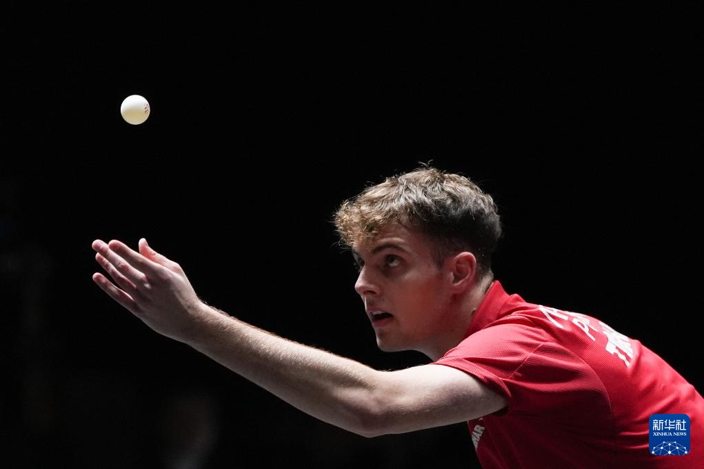 截然不同 截然不同